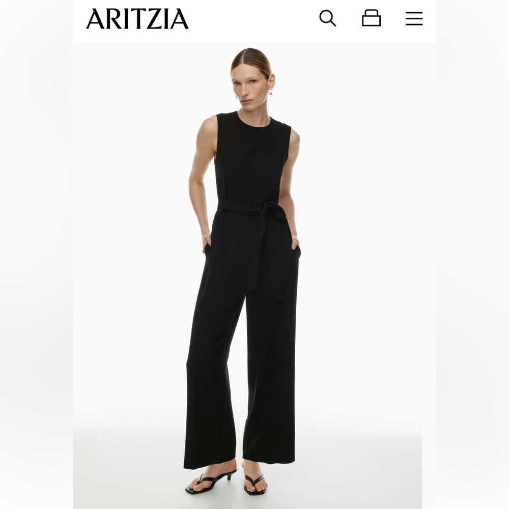 Aritzia Babaton Office Jumpsuit // M